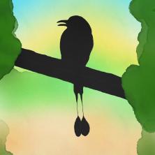 MotMot Reserva Natural Privada